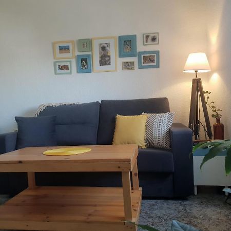 Bonito Y Coqueto Apartamento Córdoba Exterior foto